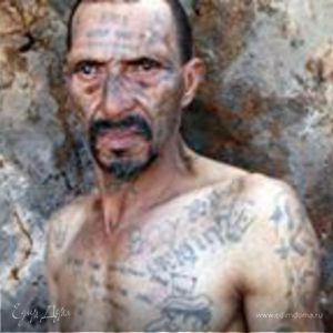 Фотография профиля