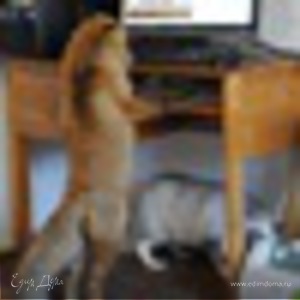 Фотография профиля