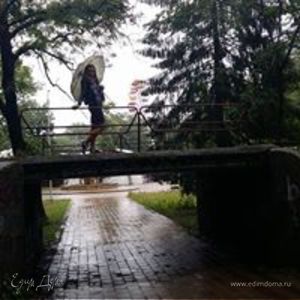 Фотография профиля