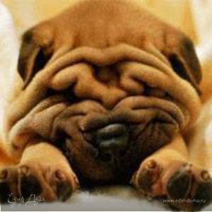 Фотография профиля