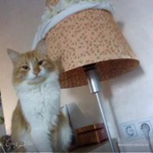 Фотография профиля