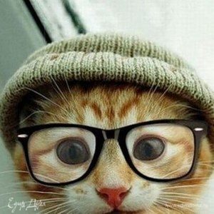 Фотография профиля