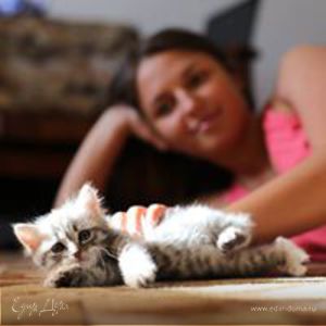 Фотография профиля