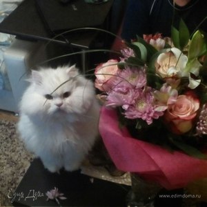 Фотография профиля