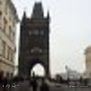 Фотография профиля