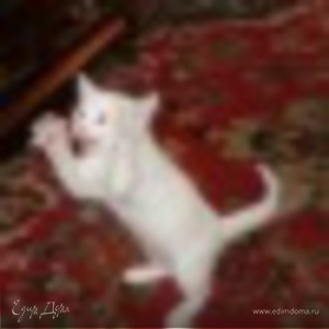 Фотография профиля