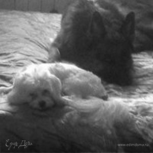 Фотография профиля