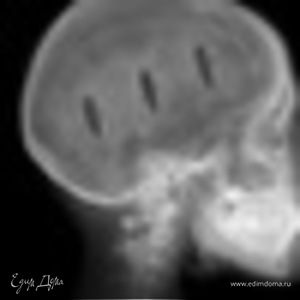 Фотография профиля