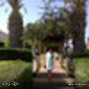 Фотография профиля