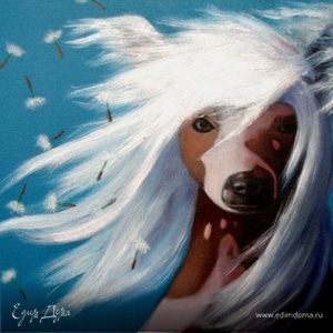 Фотография профиля