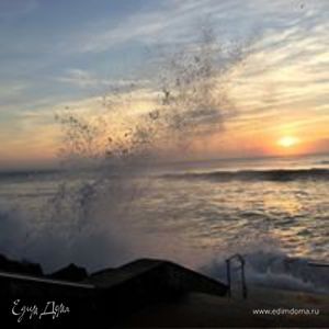 Фотография профиля