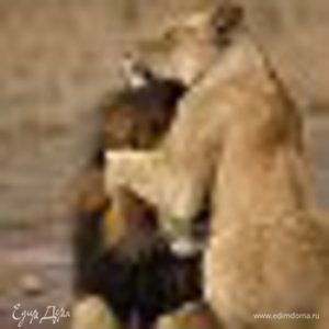 Фотография профиля