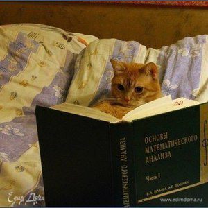 Фотография профиля