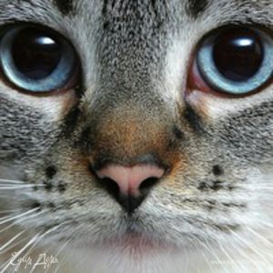 Фотография профиля