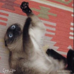 Фотография профиля