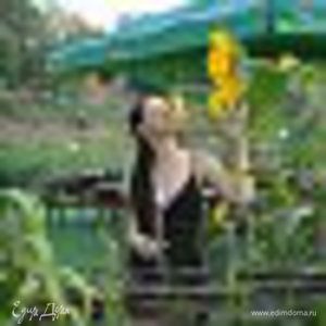 Фотография профиля