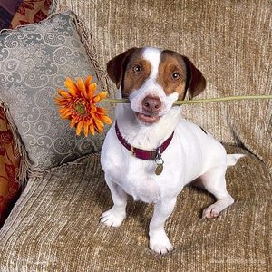 Фотография профиля