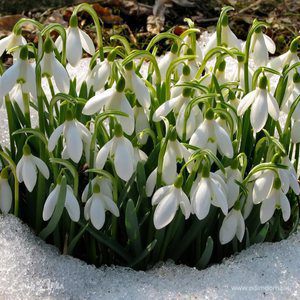 Фотография профиля