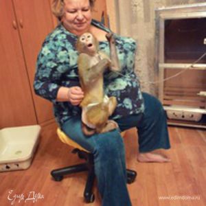 Фотография профиля