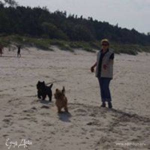 Фотография профиля