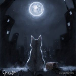 Фотография профиля