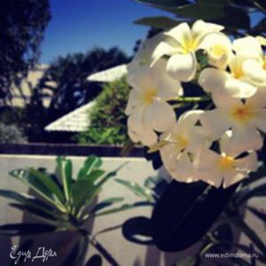 Фотография профиля