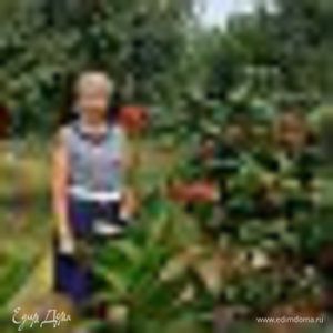 Фотография профиля