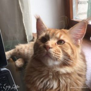 Фотография профиля