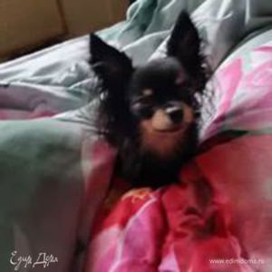 Фотография профиля