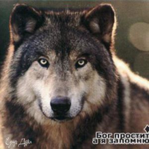 Фотография профиля