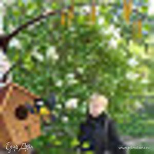 Фотография профиля