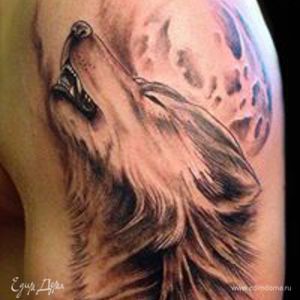 Фотография профиля