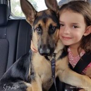 Фотография профиля