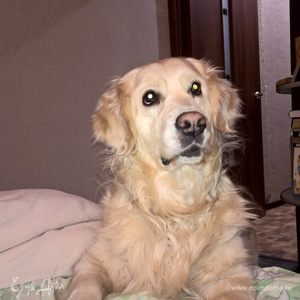 Фотография профиля