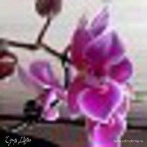 Фотография профиля