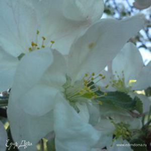 Фотография профиля