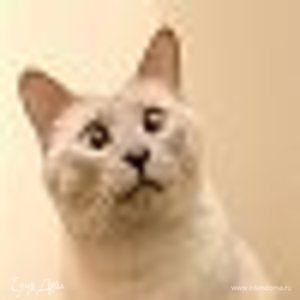 Фотография профиля