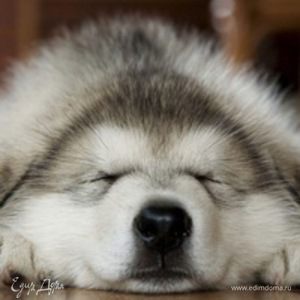 Фотография профиля