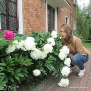 Фотография профиля