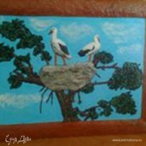 Фотография профиля