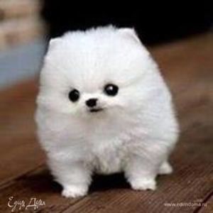 Фотография профиля