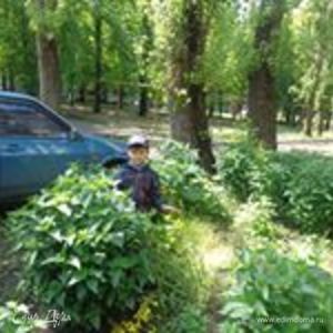 Фотография профиля