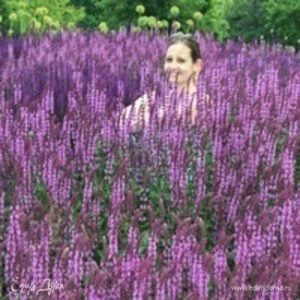 Фотография профиля