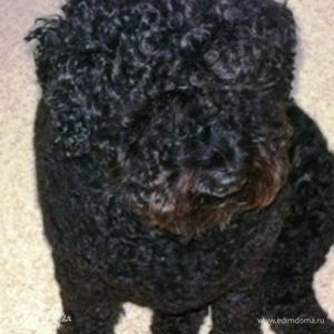 Фотография профиля