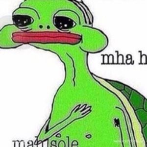 Фотография профиля