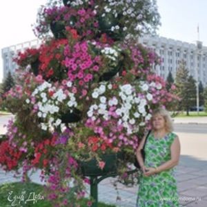 Фотография профиля