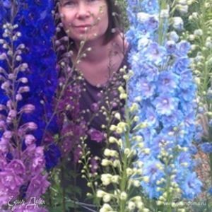 Фотография профиля