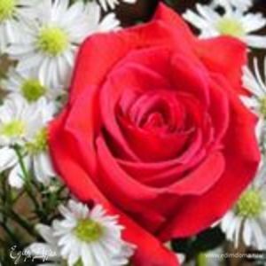 Фотография профиля