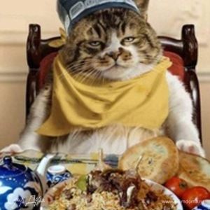 Фотография профиля