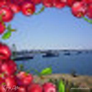 Фотография профиля